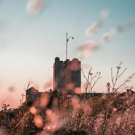 Le Nid-marin - Et Centre Apartment *