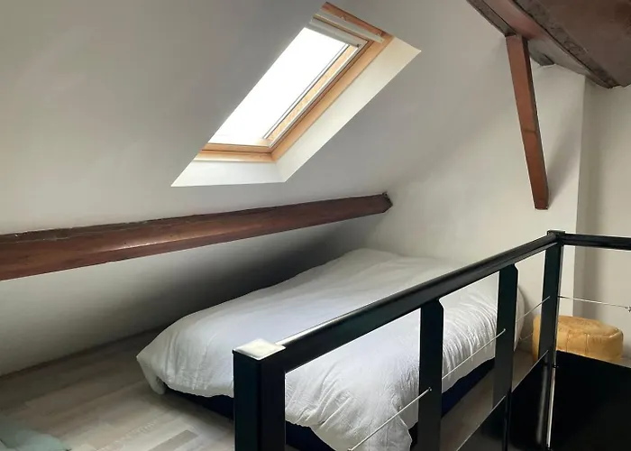 Le Nid-marin - Et Centre Fouras