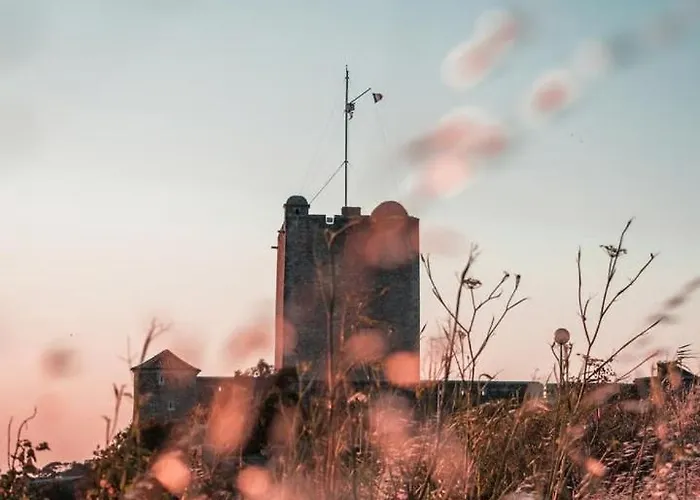 Le Nid-marin - Et Centre Appartement *